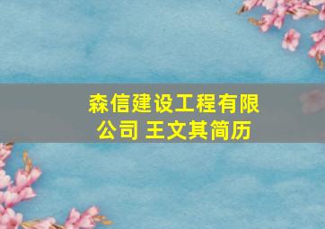 森信建设工程有限公司 王文其简历